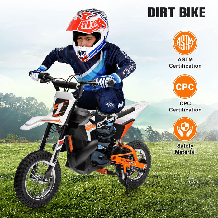 Kids Dirt Bike SuperMoto Off road Edition 24V/250W
